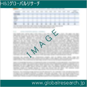 グローバルリサーチ調査レポートのイメージ